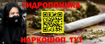 твердый Бийск
