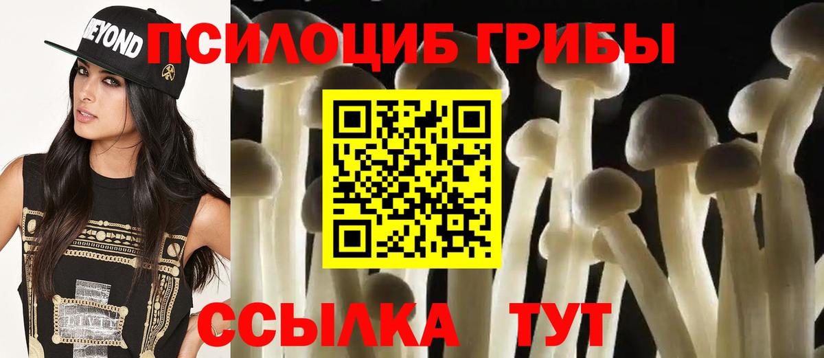 Галлюциногенные грибы Magic Shrooms Ковров