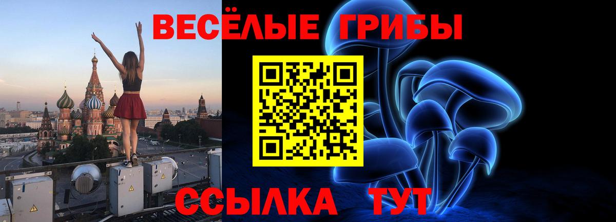 Ковров  даркнет сайт  Вход с VPN  Галлюциногенные грибы ЛСД 